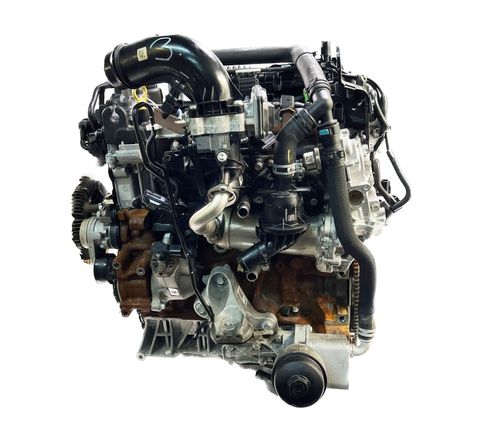 Motor für Ford Ranger TKE 2,0 EcoBlue Diesel YN2X JB3Q-6006-FA 1.700 KM