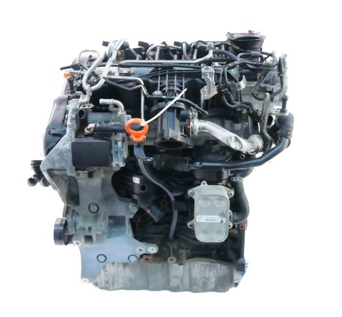 Motor für Audi A3 8P 1,6 TDI Diesel CAYC CAY 03L100036K 105 PS