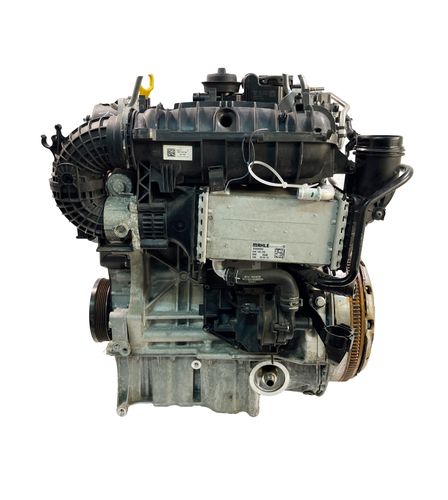 Motor für VW Tiguan AD1 1,5 TSI Benzin DADA DAD 05E100031J 67.000 KM