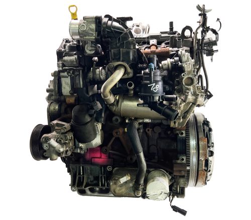 Motor für Ford Transit V362 V363 2,0 EcoBlue Diesel YLF6 105 PS