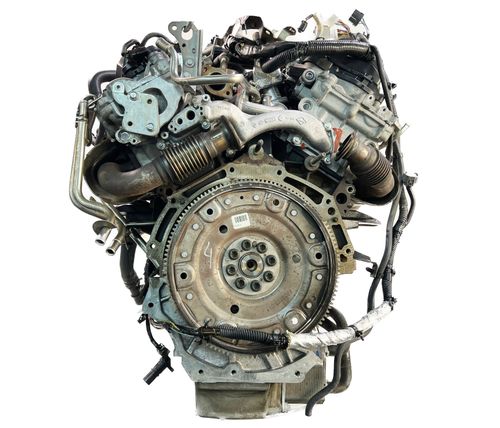 Motor für Nissan NP300 Navara 3,0 dCi Diesel V9X V9X661 1010200Q3R